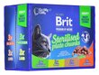 Brit Premium komplekt steriliseeritud kassidele, 12x100 g hind ja info | Kassikonservid | hansapost.ee