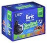 Konservide komplekt Brit Premium steriliseeritud kassidele, 12x100 g цена и информация | Kassikonservid | hansapost.ee