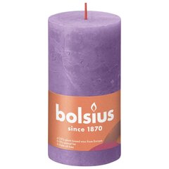 Bolsius sammasküünlad Shine 6 tk 130x68 mm erkvioletne hind ja info | Küünlad, küünlajalad | hansapost.ee
