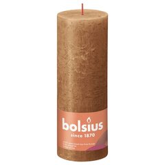 Bolsius sammasküünlad Shine 6 tk 190 x 68 mm vürtsipruun hind ja info | Küünlad, küünlajalad | hansapost.ee