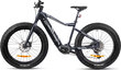 Elektrijalgratas Gzr Black Raw 2023 26" Electric Fatbike 17", must цена и информация | Elektrijalgrattad | hansapost.ee