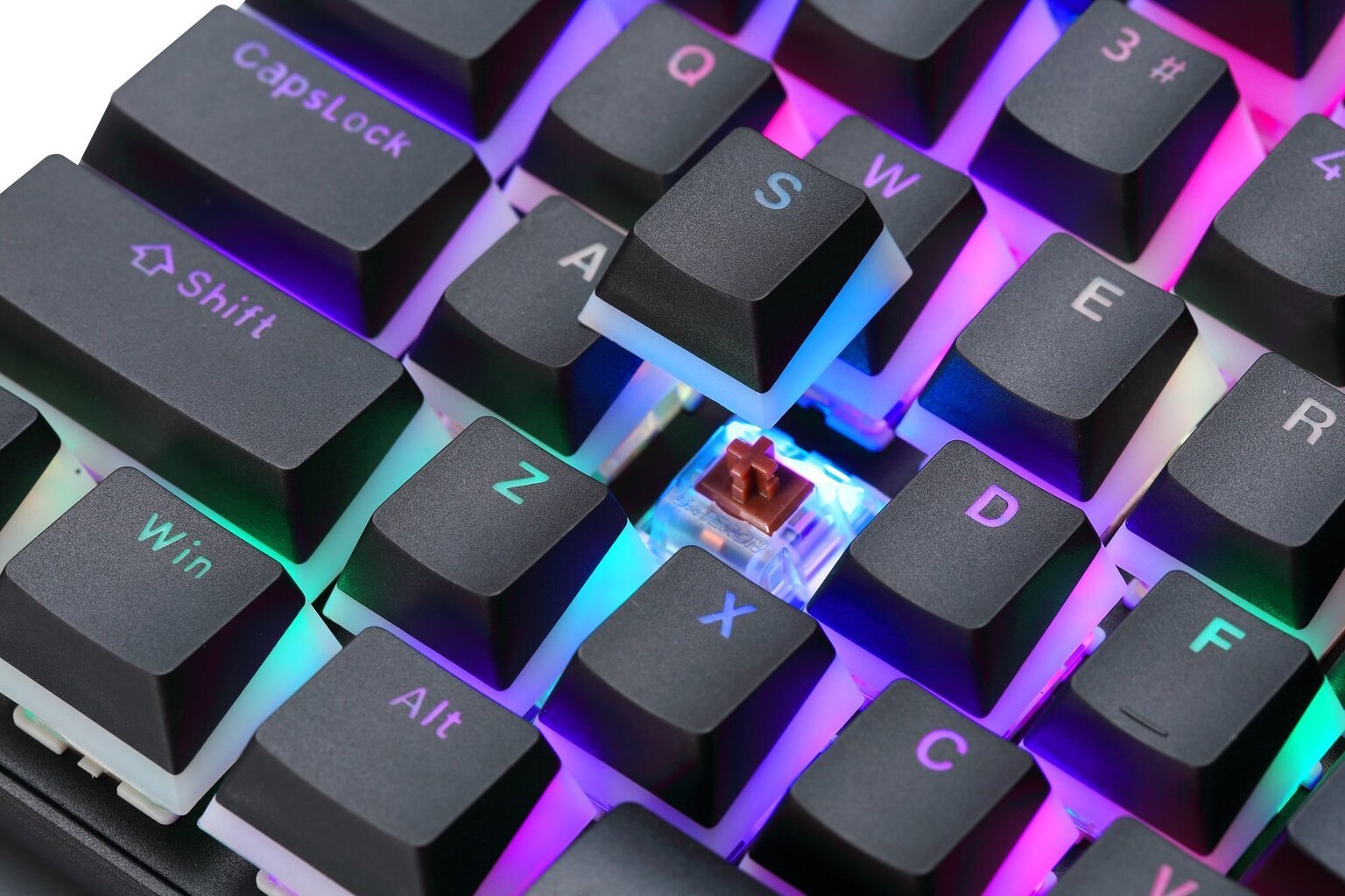 Preyon Brown Blitz Claw Gateron PBRBC87B цена и информация | Klaviatuurid | hansapost.ee