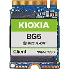 Kioxia BG5 KBG50ZNS512G hind ja info | Kioxia Arvutid ja IT- tehnika | hansapost.ee