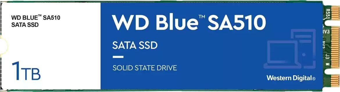 WD Blue SA510 WDS100T3B0B hind ja info | Sisemised kõvakettad | hansapost.ee