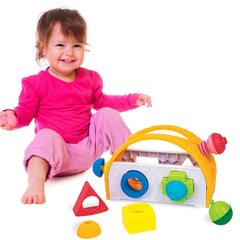Sorteerimiskorv Lalaboom Trefl 16 tk цена и информация | Игрушки для малышей | hansapost.ee