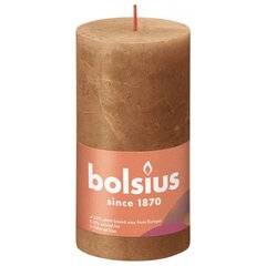 Bolsius sammasküünlad Shine 6 tk 130 x 68 mm vürtsipruun цена и информация | Свечи, подсвечники | hansapost.ee