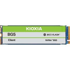Kioxia BG5 KBG50ZNV512G hind ja info | Sisemised kõvakettad | hansapost.ee