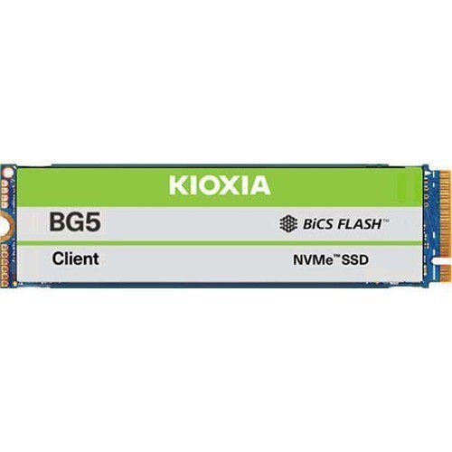 Kioxia BG5 KBG50ZNV512G цена и информация | Sisemised kõvakettad | hansapost.ee
