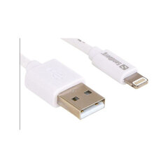 Провод Sandberg Sandberg USB-šviesa, 2 м,  AppleApted цена и информация | Borofone 43757-uniw | hansapost.ee