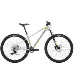 Горный велосипед Rock Machine 29 Torrent 60-29 серый (XL) цена и информация | Велосипеды | hansapost.ee