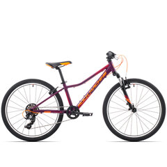 Noorukite jalgratas Rock Machine Catherine 24 violetne/oranž hind ja info | Jalgrattad | hansapost.ee