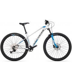 Горный велосипед Rock Machine 29 Torrent 70-29 (I) серебристый/синий (L) цена и информация | Велосипеды | hansapost.ee