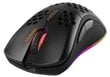 Deltaco Gaming Mouse DM220, RGB, SPCP6651, 400-6400 DPI, 1000 HZ, BLACK цена и информация | Arvutihiired | hansapost.ee