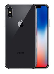 Tип B. Аккумулятор Apple iPhone X цена и информация | Мобильные телефоны | hansapost.ee