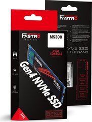 MegaFastro MS300 Series MS300200TTI цена и информация | Внутренние жёсткие диски (HDD, SSD, Hybrid) | hansapost.ee