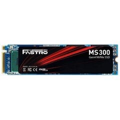 MegaFastro MS300 Series MS300100TTI цена и информация | Внутренние жёсткие диски (HDD, SSD, Hybrid) | hansapost.ee