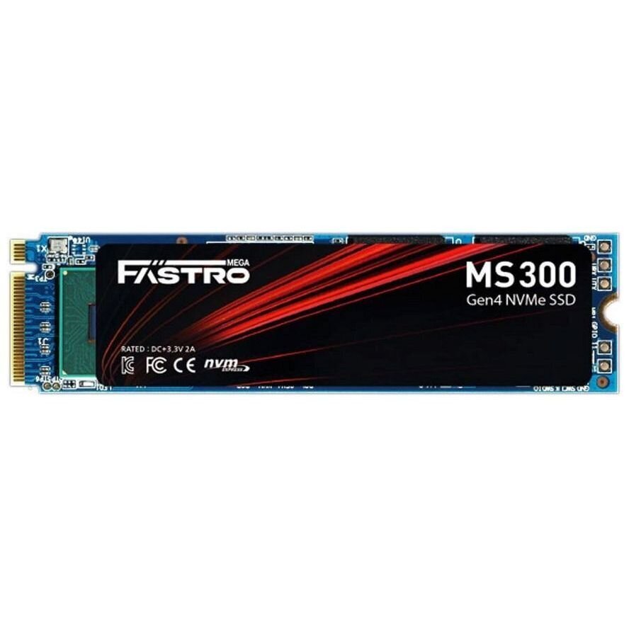 MegaFastro MS300 Series MS300100TTI hind ja info | Sisemised kõvakettad | hansapost.ee