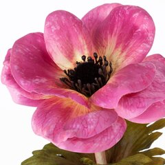 Искусственный цветок Цветок мака цена и информация | Искусственные цветы | hansapost.ee
