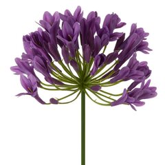 Kunstlill Agapanthus цена и информация | Искусственные цветы | hansapost.ee