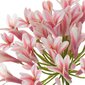 Kunstlill Agapanthus hind ja info | Kunstlilled | hansapost.ee