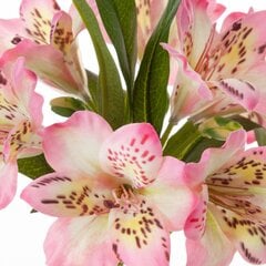 Kunstlill Rododendron цена и информация | Искусственные цветы | hansapost.ee