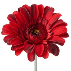 Kunstlill Gerbera hind ja info | Kunstlilled | hansapost.ee