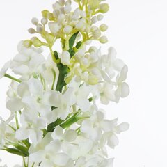 Искусственное растение Олива цена и информация | Искусственные цветы | hansapost.ee
