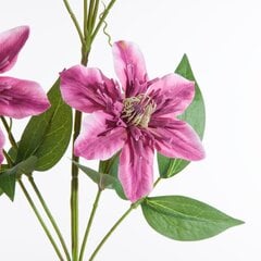 Искусственный цветок Ведьма цена и информация | Искусственные цветы | hansapost.ee