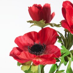Искусственный цветок Цветок Плюкке цена и информация | Искусственные цветы | hansapost.ee