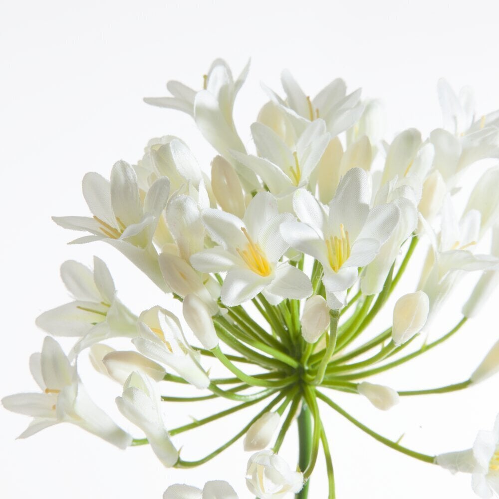 Kunstlill Agapanthus hind ja info | Kunstlilled | hansapost.ee