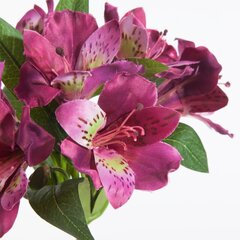 Искусственный цветок Рододендрон цена и информация | Искусственные цветы | hansapost.ee