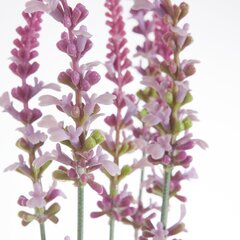 Искусственное растение Шалфей цена и информация | Искусственные цветы | hansapost.ee