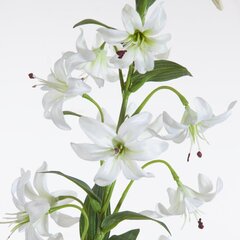 Искусственный цветок Живокость цена и информация | Искусственные цветы | hansapost.ee