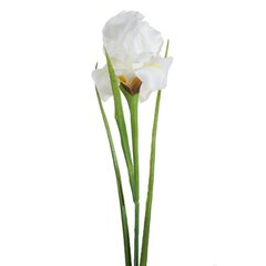 Искусственное растение Ирис цена и информация | Искусственные цветы | hansapost.ee