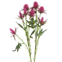 Kunstlill Gomphrena globosa hind ja info | Kunstlilled | hansapost.ee