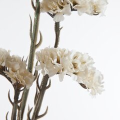 Искусственное растение Кермек цена и информация | Искусственные цветы | hansapost.ee