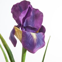 Kunstlill Iiris hind ja info | Kunstlilled | hansapost.ee