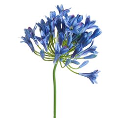 Искусственный цветок Агапантус цена и информация | Искусственные цветы | hansapost.ee