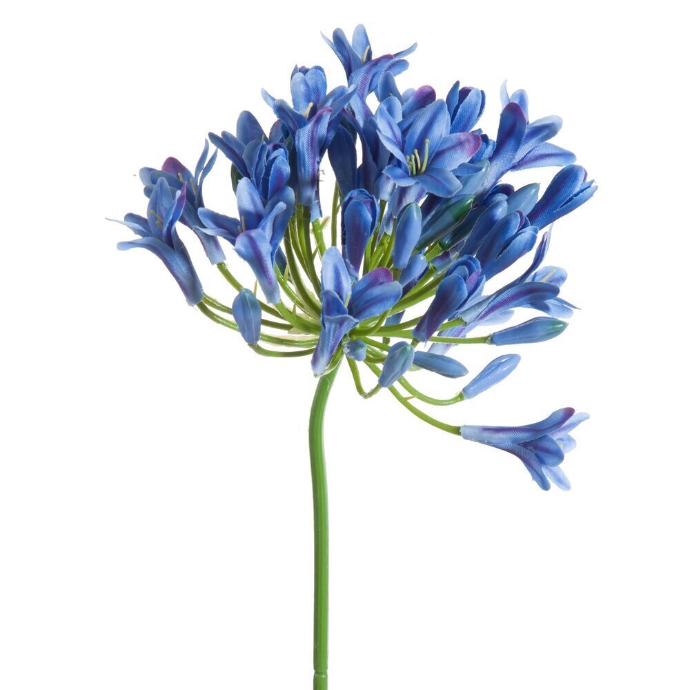 Kunstlill Agapanthus цена и информация | Kunstlilled | hansapost.ee