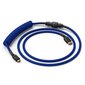 Glorious PC Gaming Race Coiled Cable Cobalt цена и информация | USB adapterid ja jagajad | hansapost.ee
