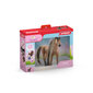 Figuur Schleich Beauty Horse Tekkineri tõugu hobune hind ja info | Mänguasjad poistele | hansapost.ee