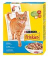 Friskies Kassid internetist