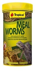 Kuivatatud vastsed roomajatele Tropical Meal Worms, 250 ml цена и информация | Корм для экзотических животных | hansapost.ee