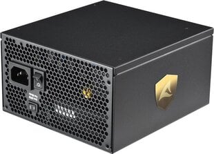 Sharkoon Rebel P30 Gold цена и информация | Материнские платы (PSU) | hansapost.ee