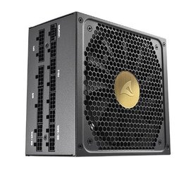 Sharkoon Rebel P30 Gold цена и информация | Материнские платы (PSU) | hansapost.ee