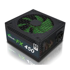 Evolveo FX 450 цена и информация | Блоки питания (PSU) | hansapost.ee