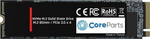 CoreParts CPSSD-M.2NVME-256G hind ja info | CoreParts Arvutid ja IT- tehnika | hansapost.ee