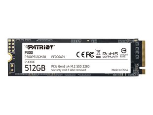 CoreParts CPSSD-M.2NVME-256G hind ja info | Sisemised kõvakettad | hansapost.ee