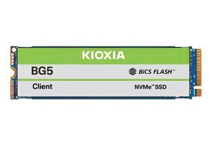 Kioxia BG5 KBG50ZNV1T02 цена и информация | Kioxia Компьютерные компоненты | hansapost.ee