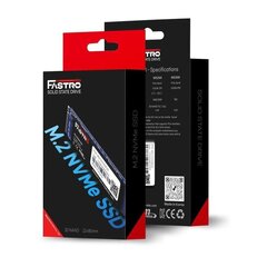 MegaFastro MS150 MS150100TTS цена и информация | Внутренние жёсткие диски (HDD, SSD, Hybrid) | hansapost.ee